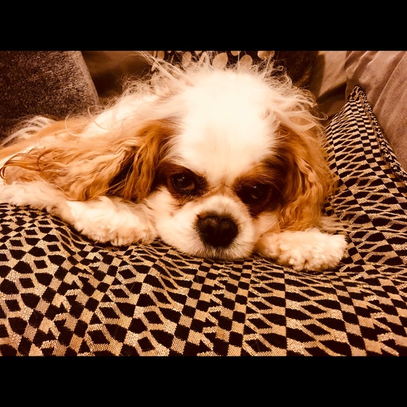 Meet your Posher, Jeff - Picture 8 of 8